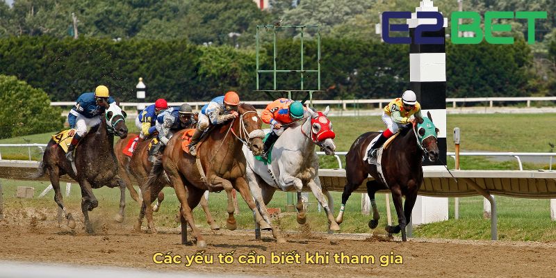 Các yếu tố cần biết khi tham gia