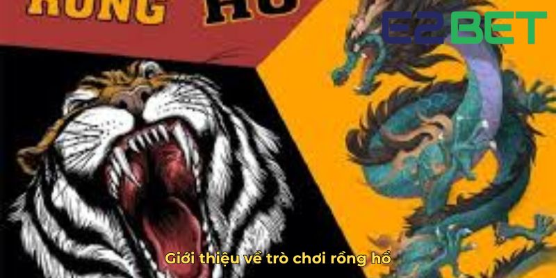 Giới thiệu về trò chơi rồng hổ
