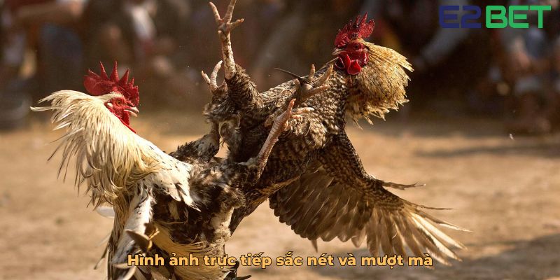 Hình ảnh trực tiếp sắc nét và mượt mà