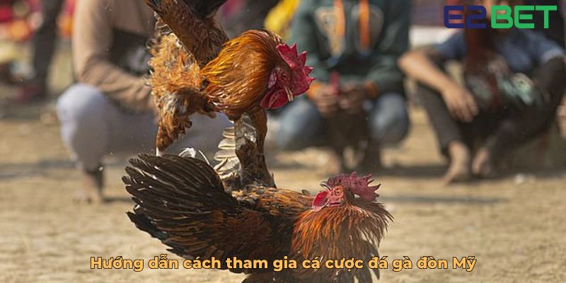 Hướng dẫn cách tham gia cá cược đá gà đòn Mỹ