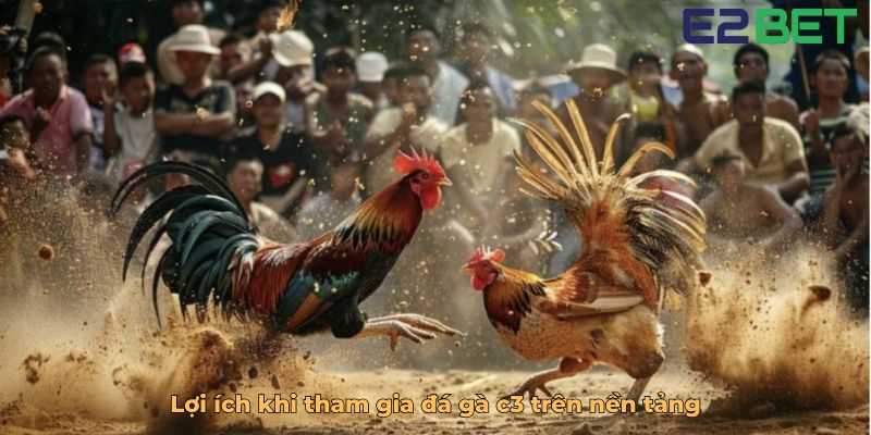 Lợi ích khi tham gia đá gà c3 trên nền tảng