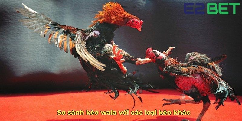 So sánh kèo wala với các loại kèo khác